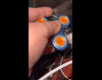 Cat tries to play with fidget spinner