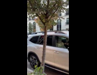 Two guys moves cabinet on the road