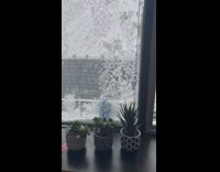 Guy uses broom to scrape ice window pt. 2
