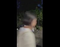 Chubby raccoons going through pile of trash in park