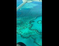 Airplane Flies Over Clear Blue Sea with Corals