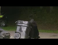 Black bear looks through trashcan 