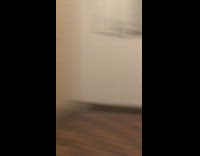 Dog watches movie with stuffed panda toy