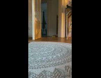 Shiba puppy slides wood floor with banana 