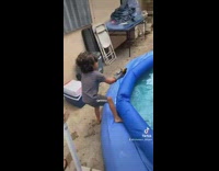 Little boy grabs frog out of swimming pool with hand