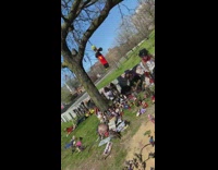 Action figures toys and dolls on grass