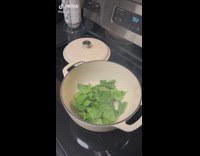 Spinach inside of white pot shrinks into nothing