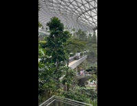 Changi Airport Stroll and Indoor Waterfalls Compilation 
