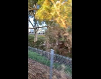 Toy car on back of tow truck