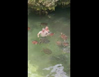 Woman gets surprised by turtle behind her