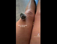 Collab Clips MPUGC2 - Hamster unloading food from mouth on hoomans legs 