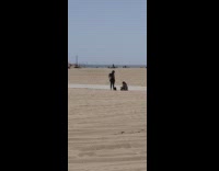 Woman black tube photo shoot beach sands walk away