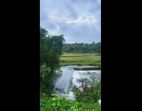 Travel vlog of Kerala in India 