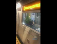 Christmas tree inside of subway train, man sleeping
