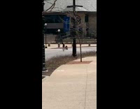 Black dress girl empty street large cross 