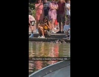 Woman feeds turtles at park 