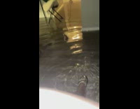  Lady sits in flooded house dog walks by