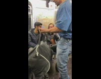 Woman brings brown black dog in tote bag on subway train