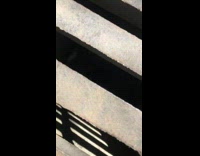 Collab BitchMP - Rescuing ducks from drain part 1