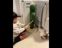 Kid Grabs Ball and Cat Crawls Upside Down