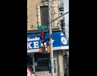 Collab WINY - Spiderman on Crosswalk Stoplight Waves at People