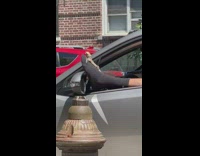 Guy sitting in parked car with foot out window with lizard on it
