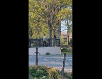 Girl grey cardigan park railings photographer reflector