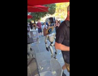 Rizzbot tells submitter que rico papi