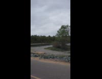 Guy does deadlift exercise near river nature