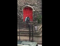 Guy wearing whole face mask posing for camera