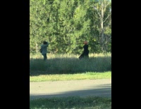 Woman black dress pumpkin head poses backyard