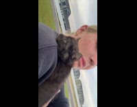 Stray kitten poops while being carried