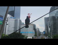 Pigeon sliding down slippery rail on walkbridge