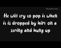 Large brown dog plays red yellow balloons