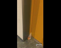 Collab DailyDoseOfInternet - Plastic bag and orange caught on elevator 