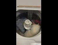 Collab BItchMP - Cat inside of washing machine