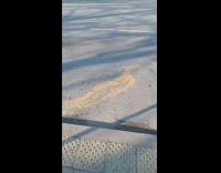 Crooked yellow paint zigzag line on road