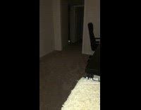 Cat cant take its eyes off  human 