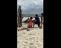 Little girl standing splits pose wood beach