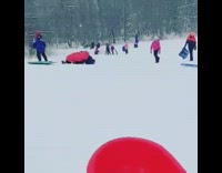 Collab Kale Salad IG -  Two girls stand on sleds fall off