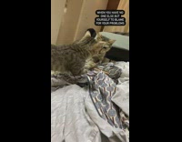 Woman holds wine glass mouth friend drinks