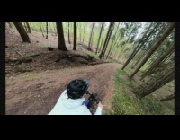 360 View of Bike Ride through Forest 