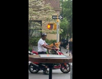 Collab winy - Man ride motorcycle with cat wearing chains