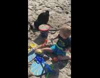 Dog digs hole in sand while baby laughs