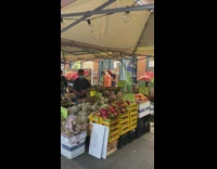 Lady at farmers market with parrot bird 