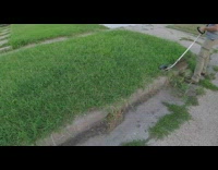 Guy give neighbor free lawn mower job