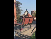 Man and woman costume tiktok dance ring light