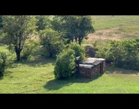 Elephant walk and visit backyard of house