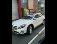 Collab WINY - Horse Manure on Car Windshield and Ground