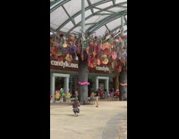 guy black shirt tree with candy canes 